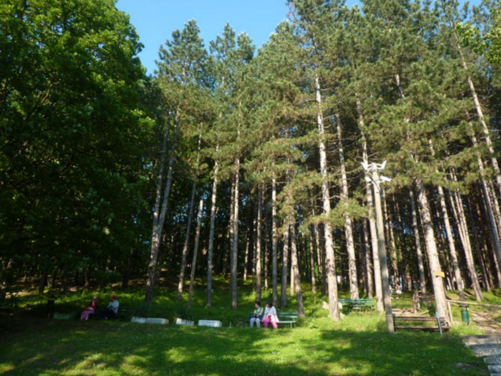 Guesthouse Edelnice Gornja Trepča エクステリア 写真